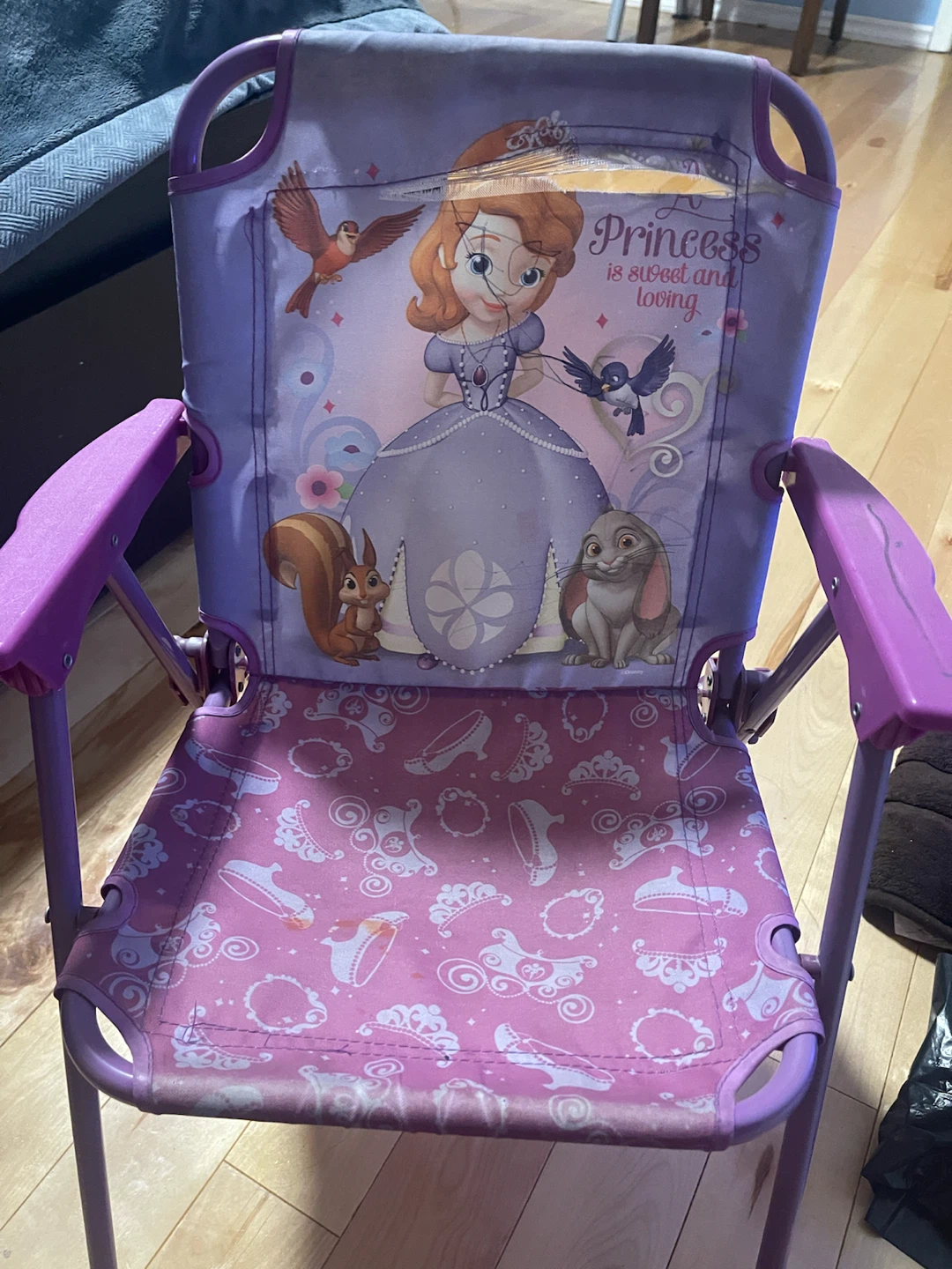 Kids Folding Camp Chair Sofia the First