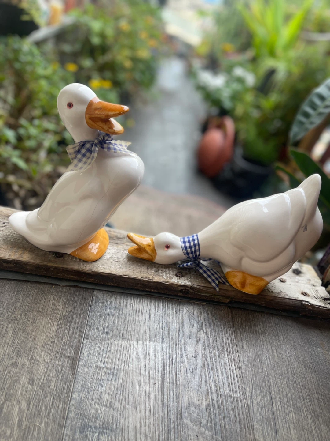 Ceramic Duck Figurines with Ribbon Details