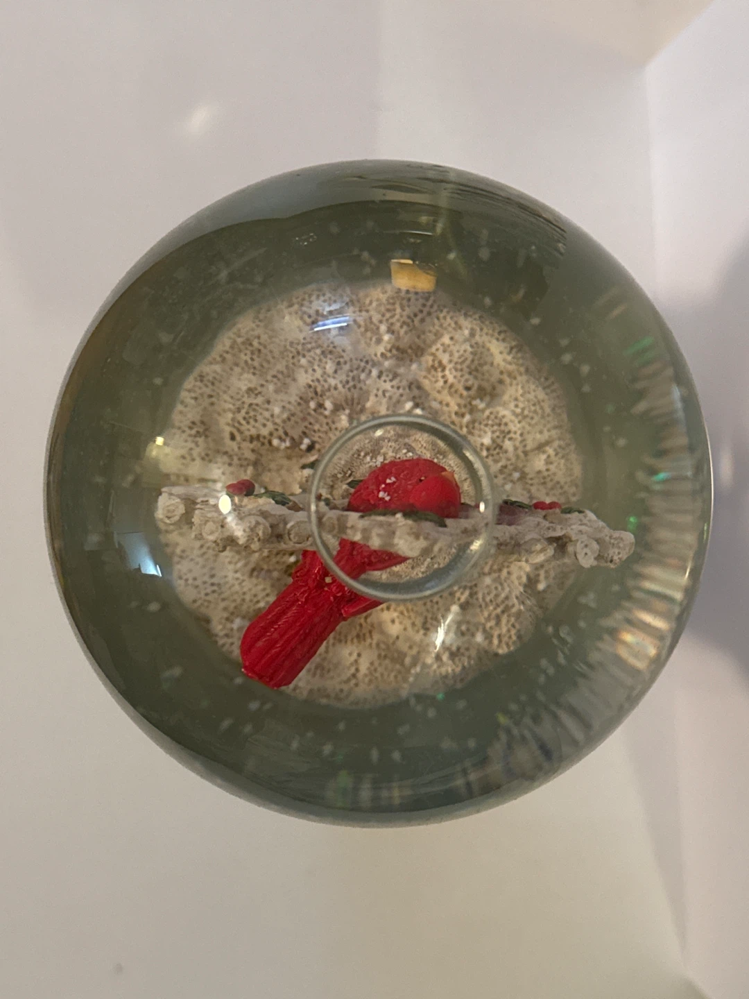 Red Cardinal Snow Globe on Birch-Style Base - photo 5