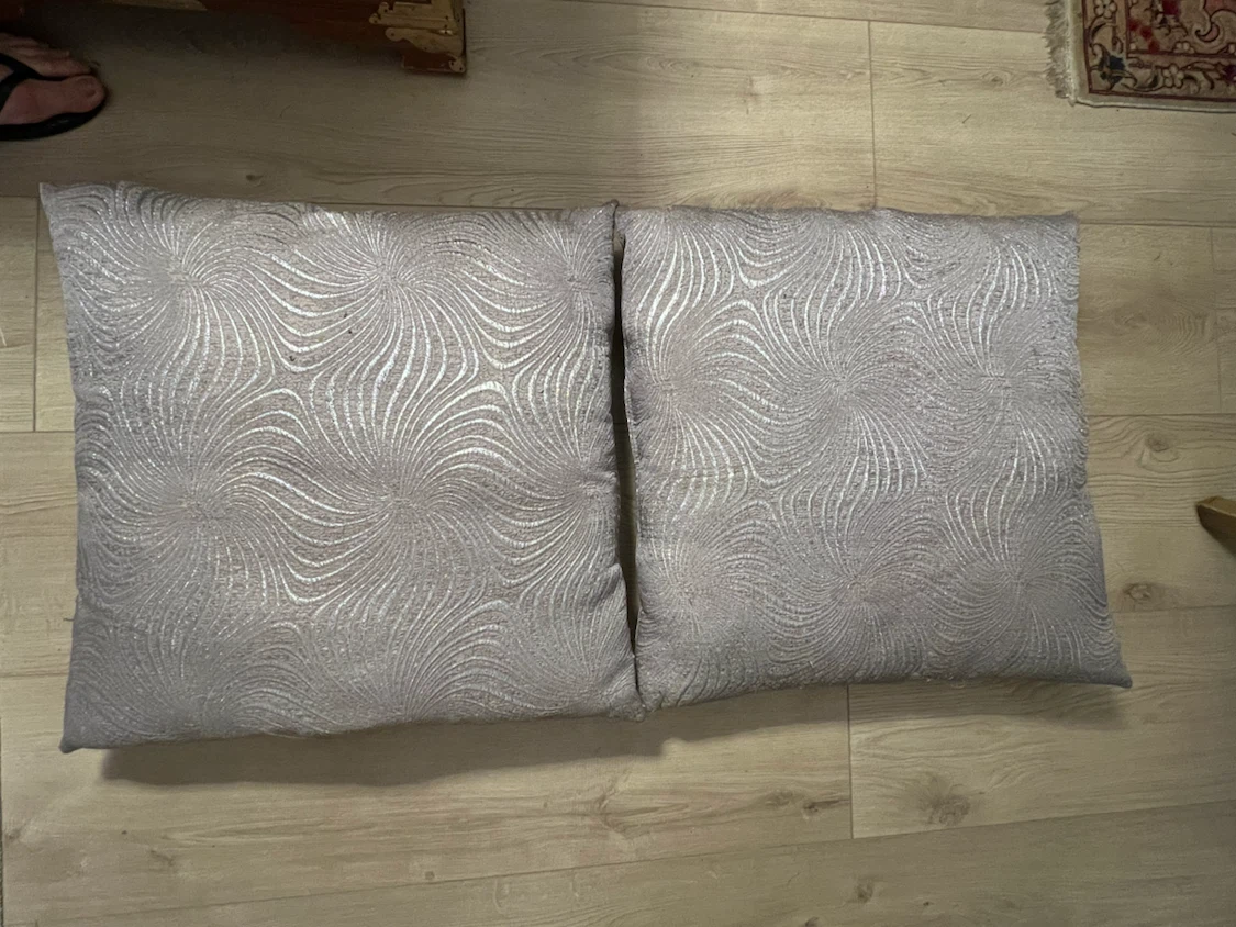 Decorative Throw Pillows (Set of 2)