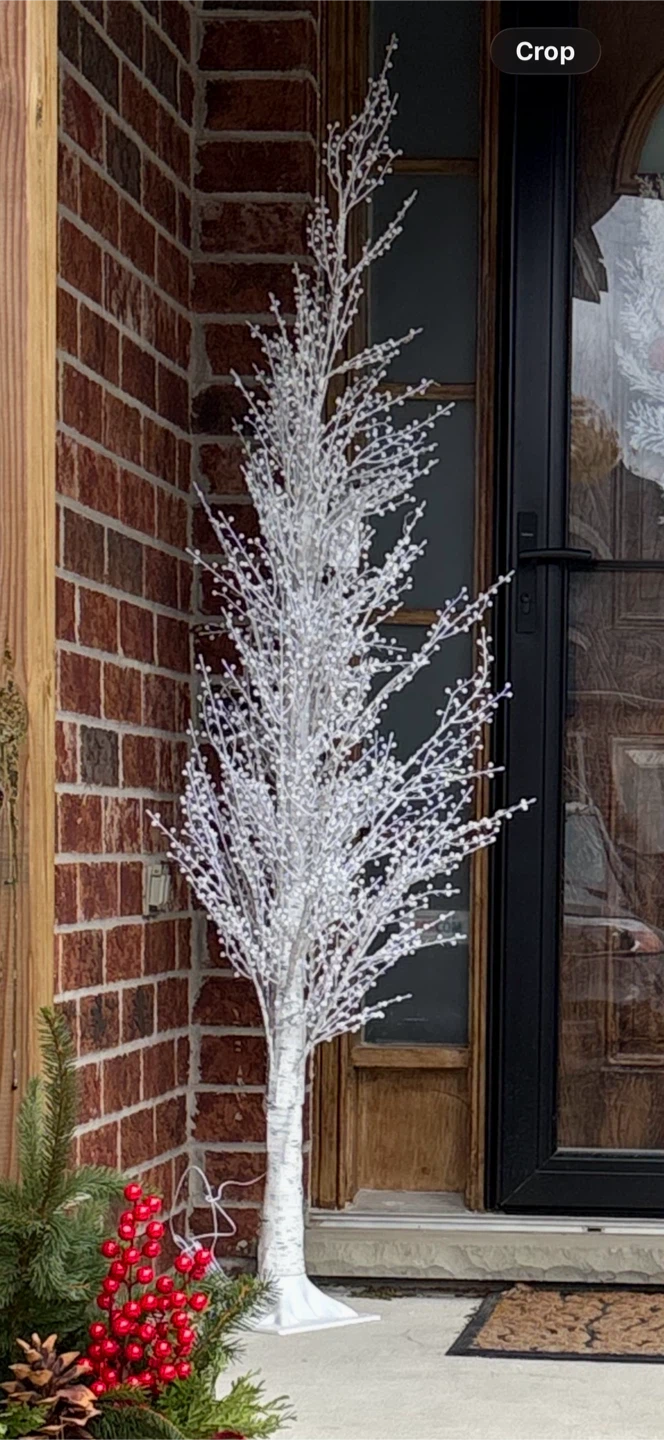 LED Lighted Birch Tree Decoration