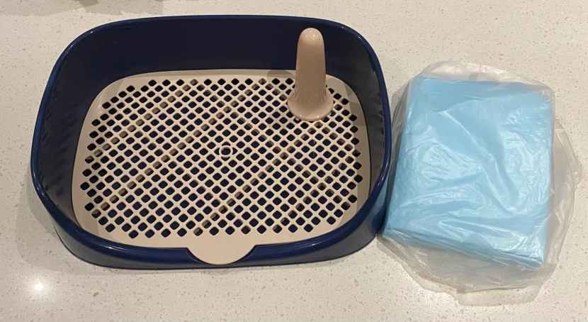 Pet Training Potty Tray with Pads