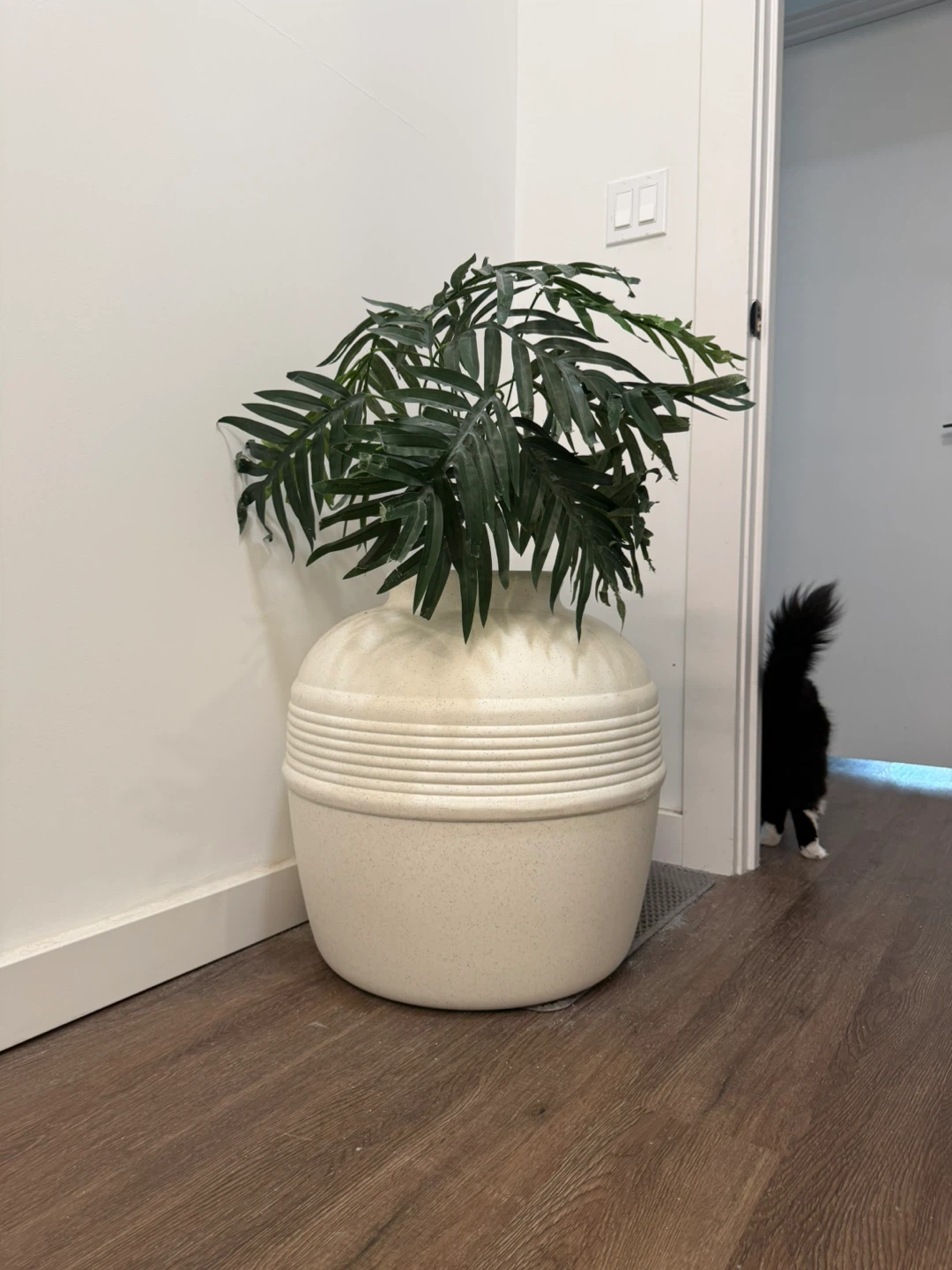 Cat litterbox