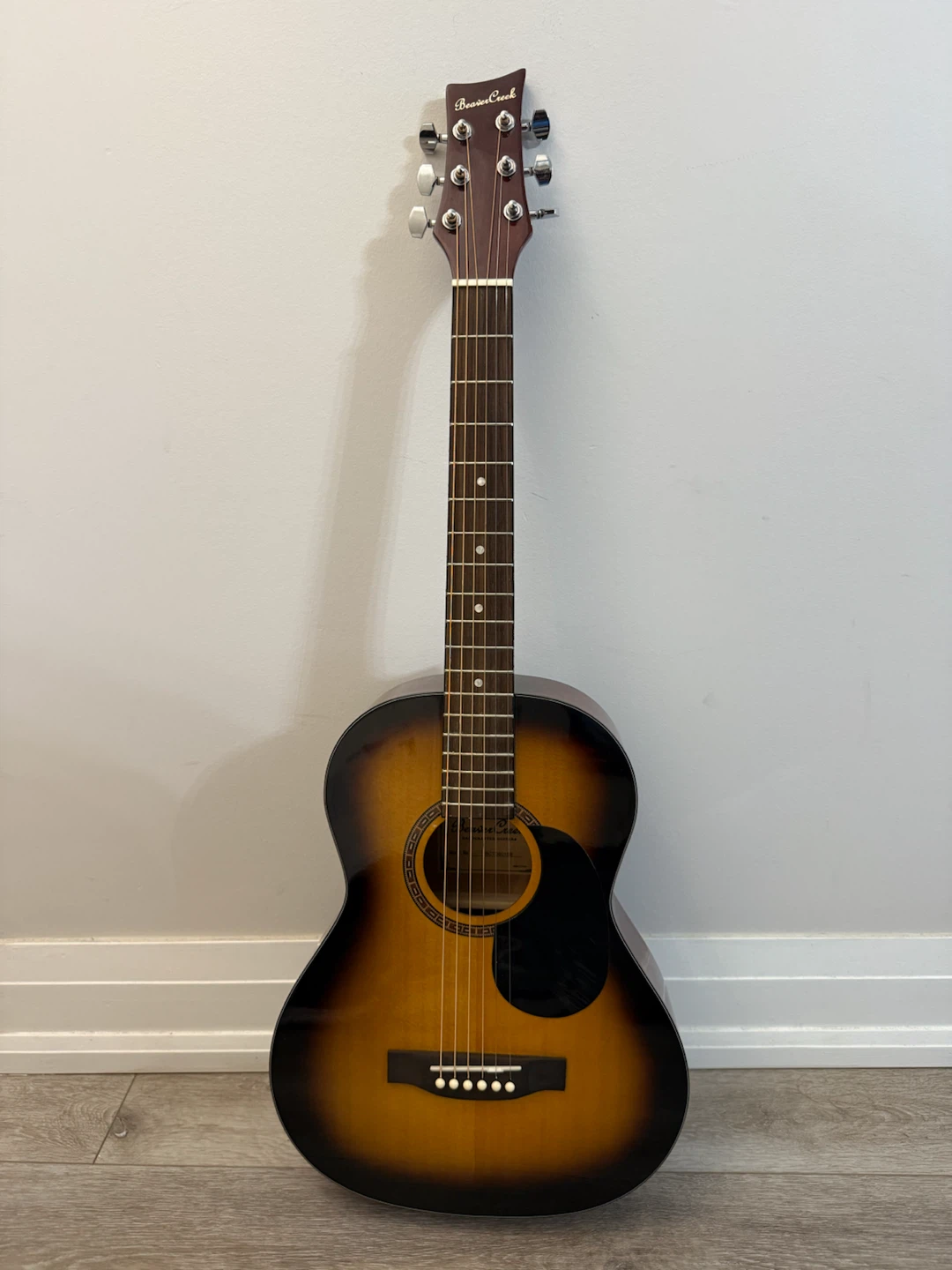 Beaver Creek Acoustic Guitar for Kids