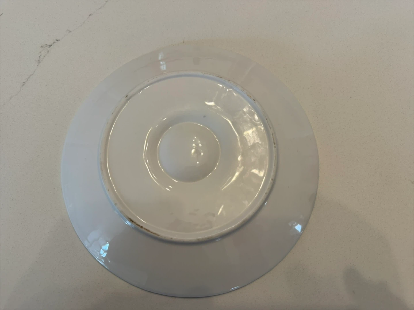 Vintage 9” Porcelain Oyster Plate - photo 2