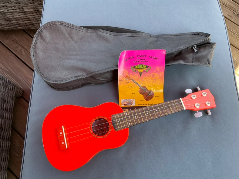 Denver DUKE-ORG Ukulele with Gig Bag and Guide - photo 3