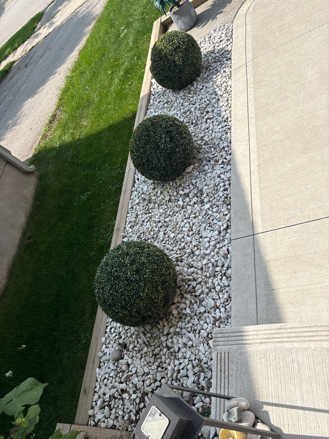 Set of 3 Large Round Topiary Bushes