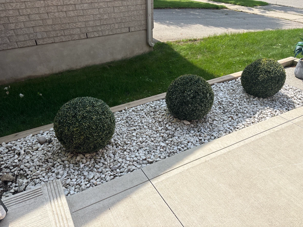 Set of 3 Large Round Topiary Bushes - photo 2