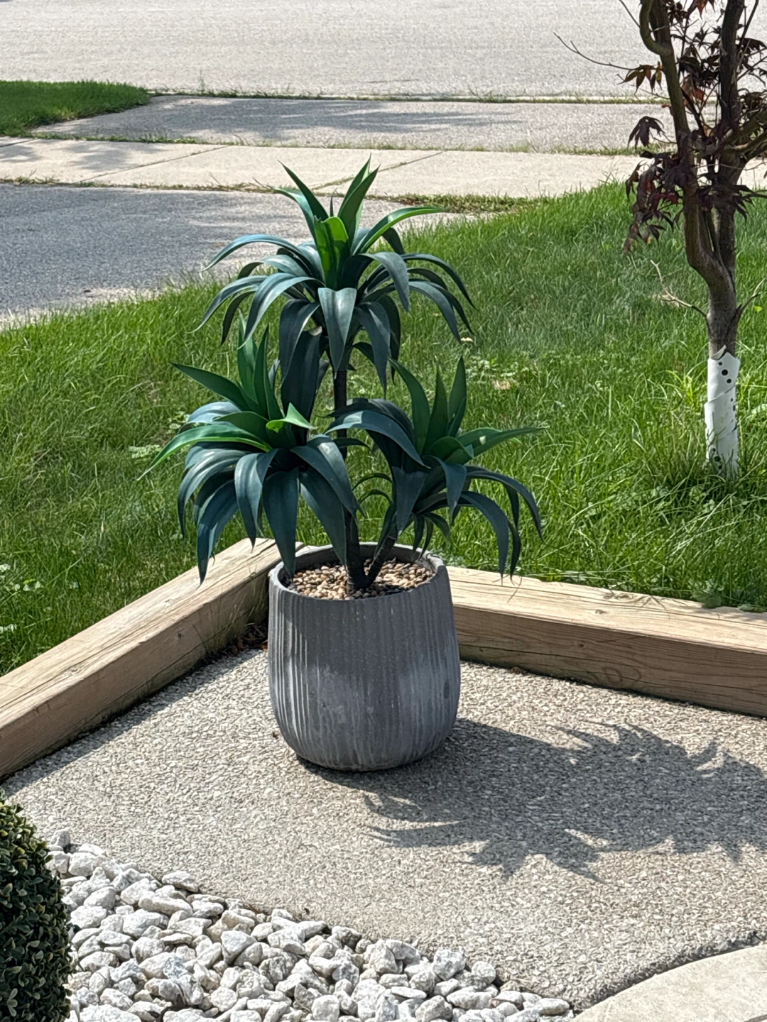 Artificial Potted Plant in Grey Ribbed Pot