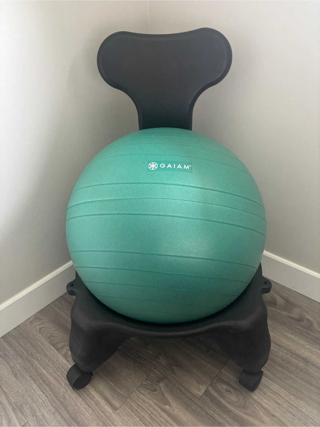 Gaiam Exercise Stability Ball Chair