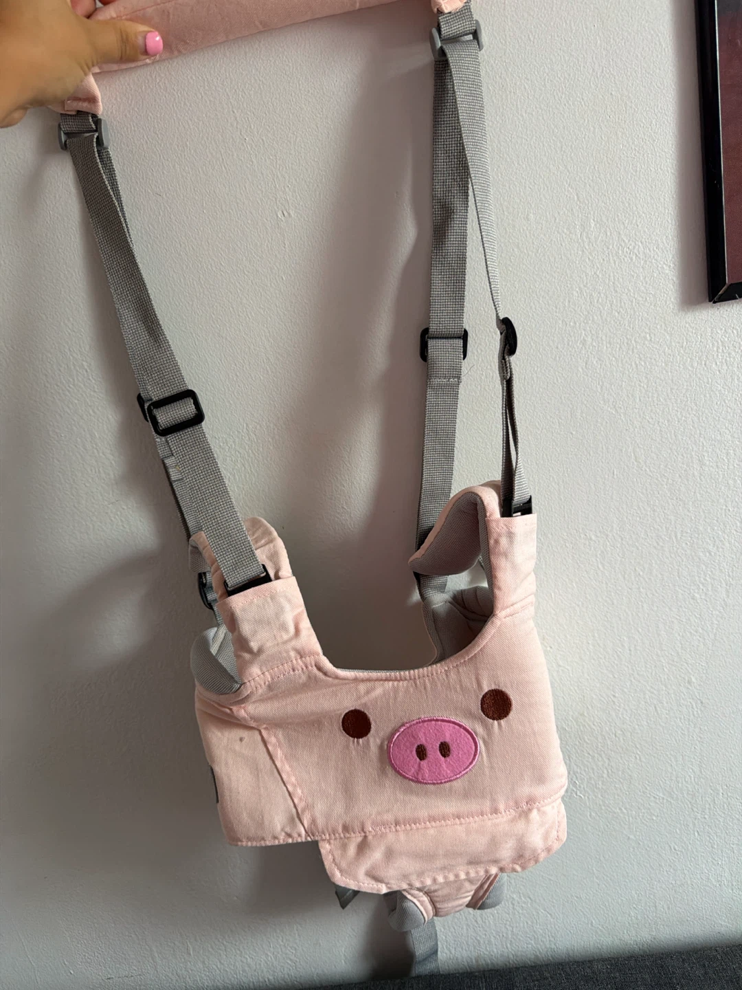 Baby Pig Walking Assistant Harness