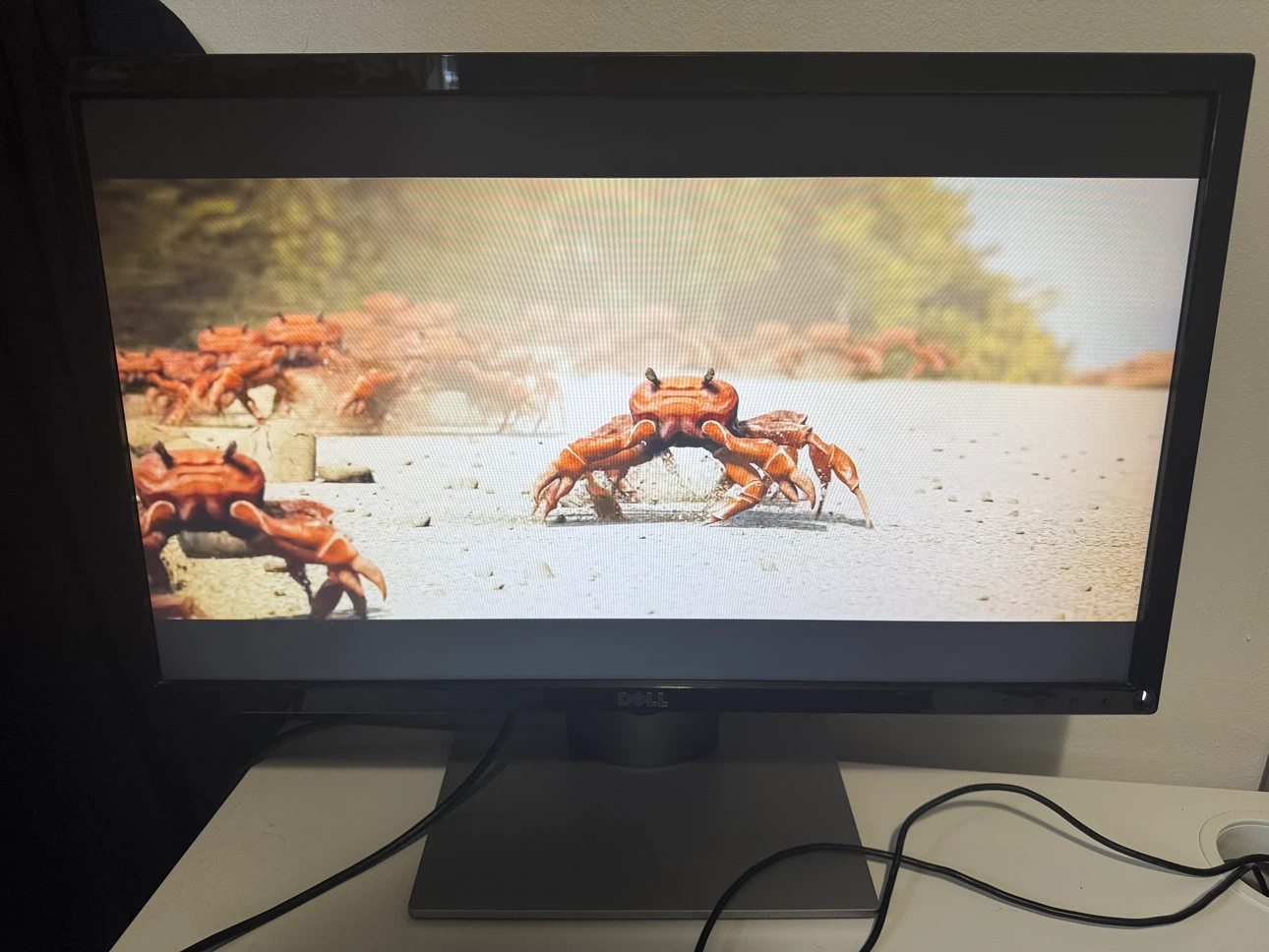 Dell SE2417HG 24" monitor HDMI & VGA