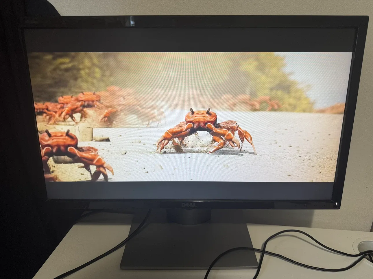 Dell SE2417HG 24" monitor HDMI & VGA