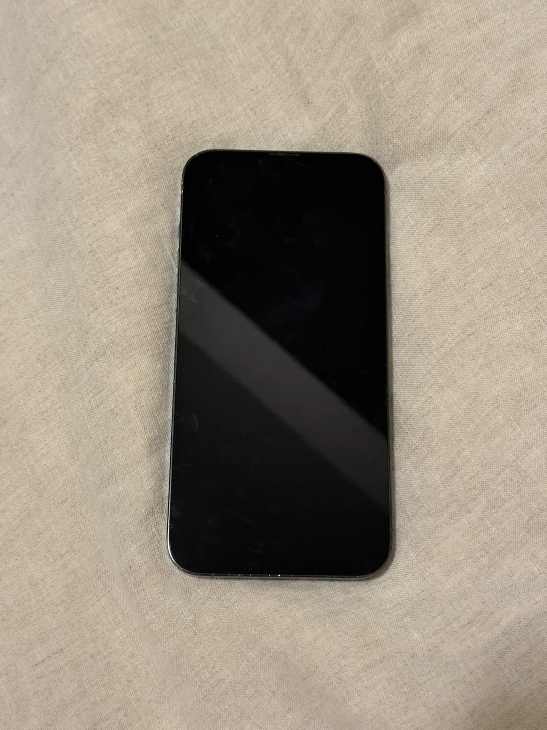 Apple iPhone 13 Pro Max - photo 2