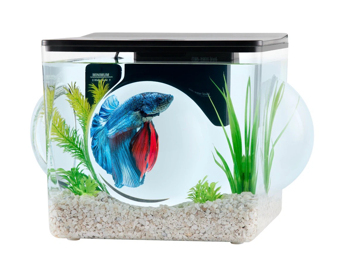 Top Fin Magnified Aquarium - 3 Gallon - photo 2