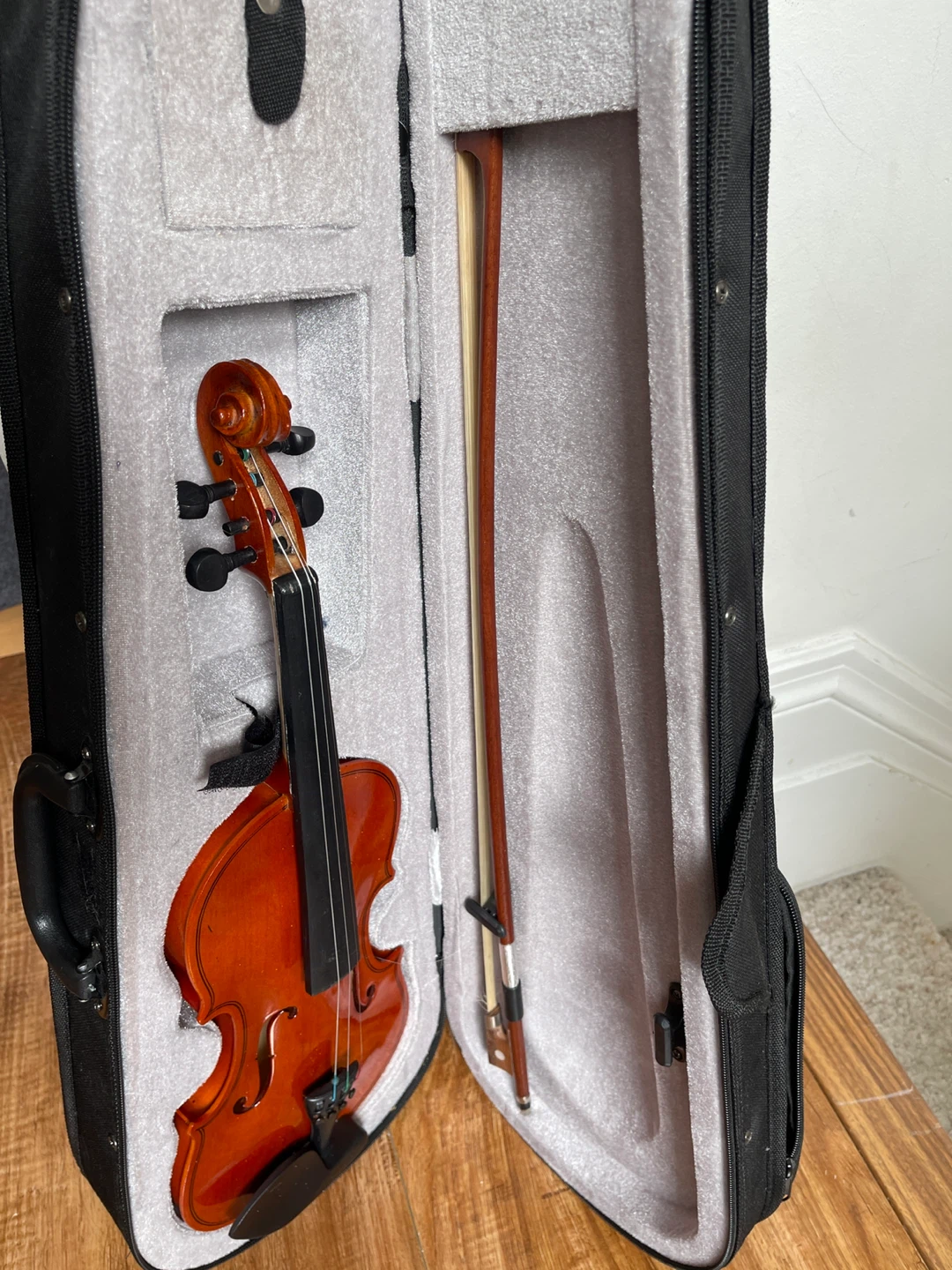 Violin with Case