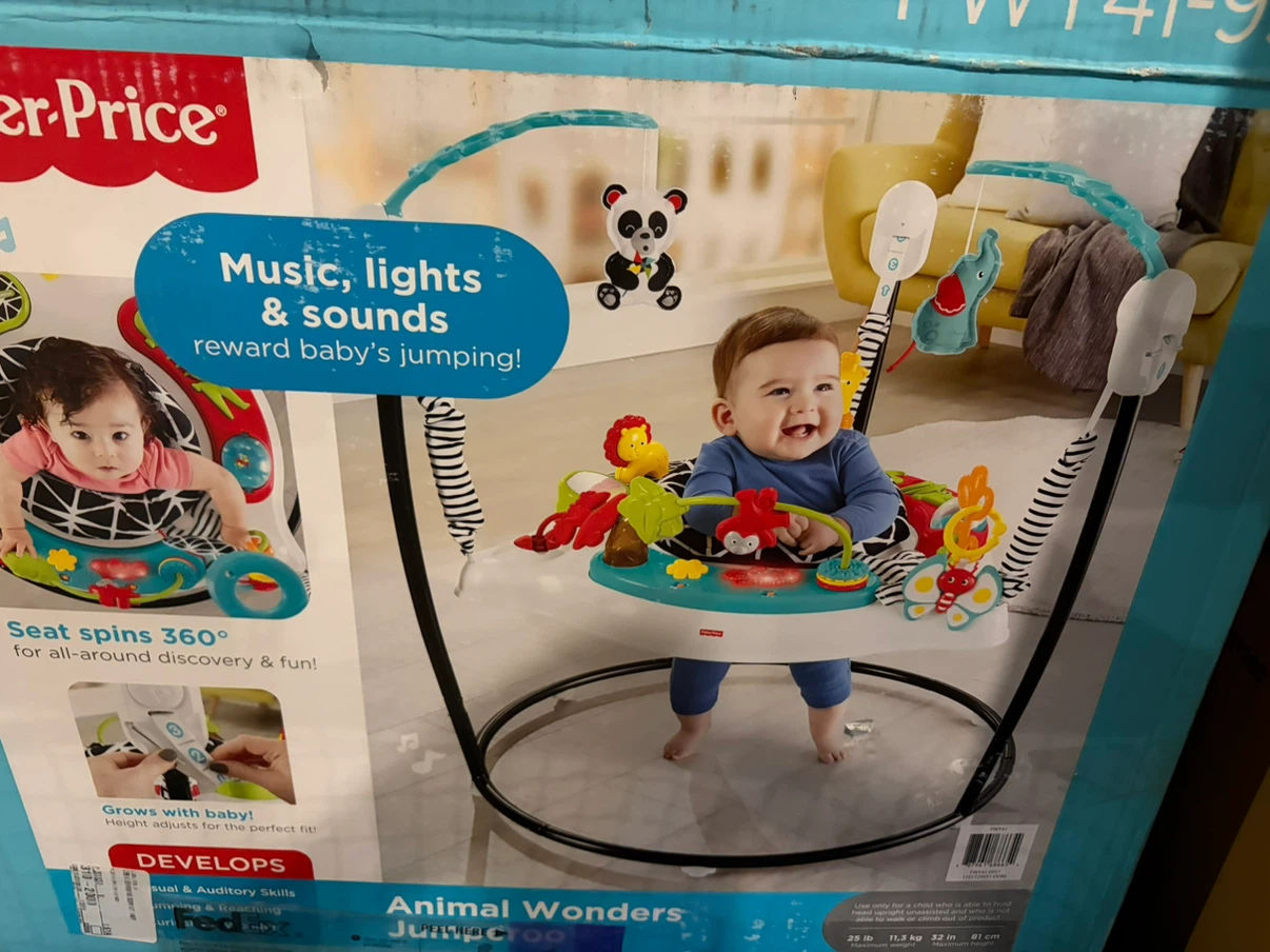 Fisher-Price Animal Wonders Jumperoo