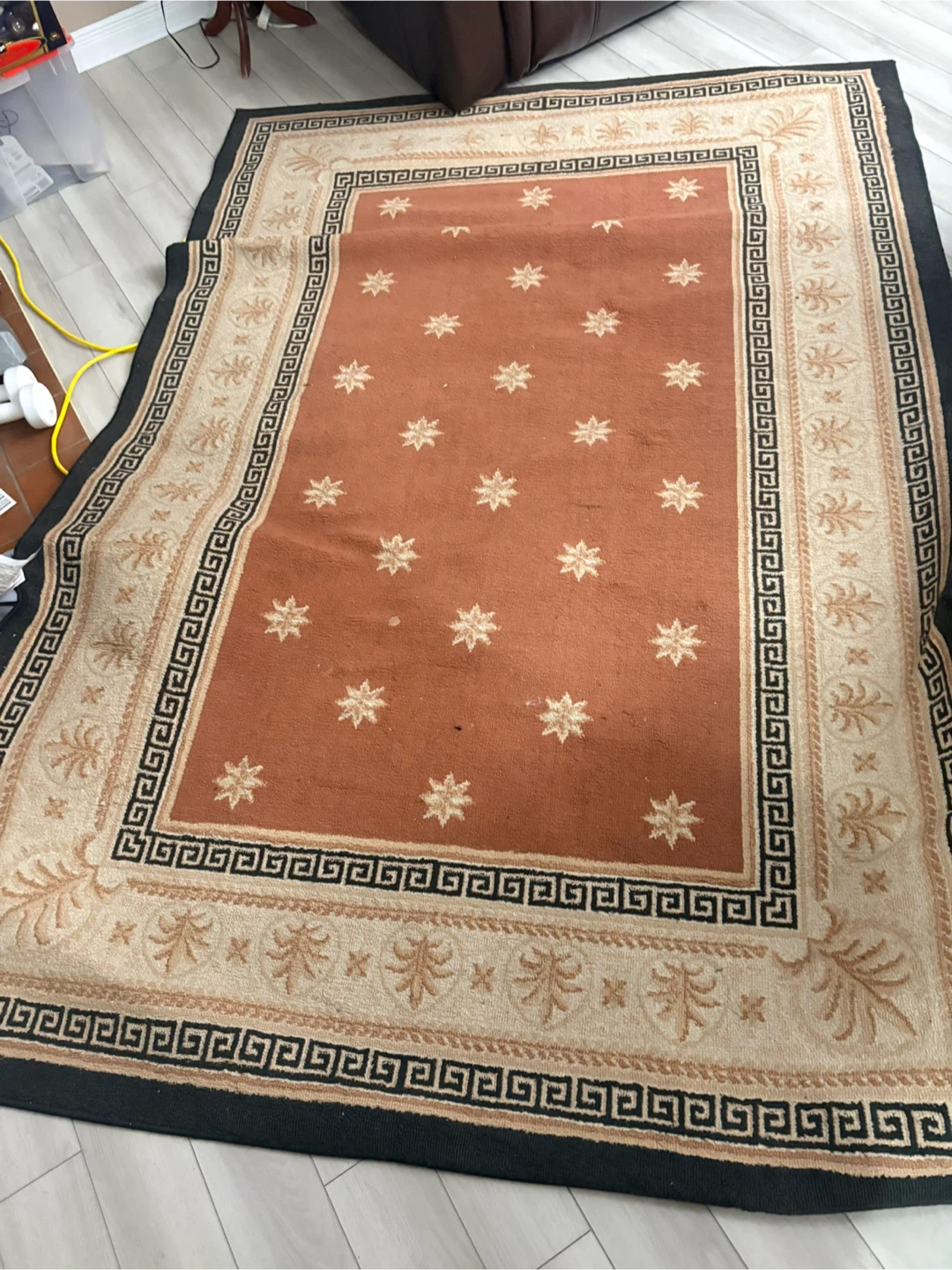 Persian Style Area Rug