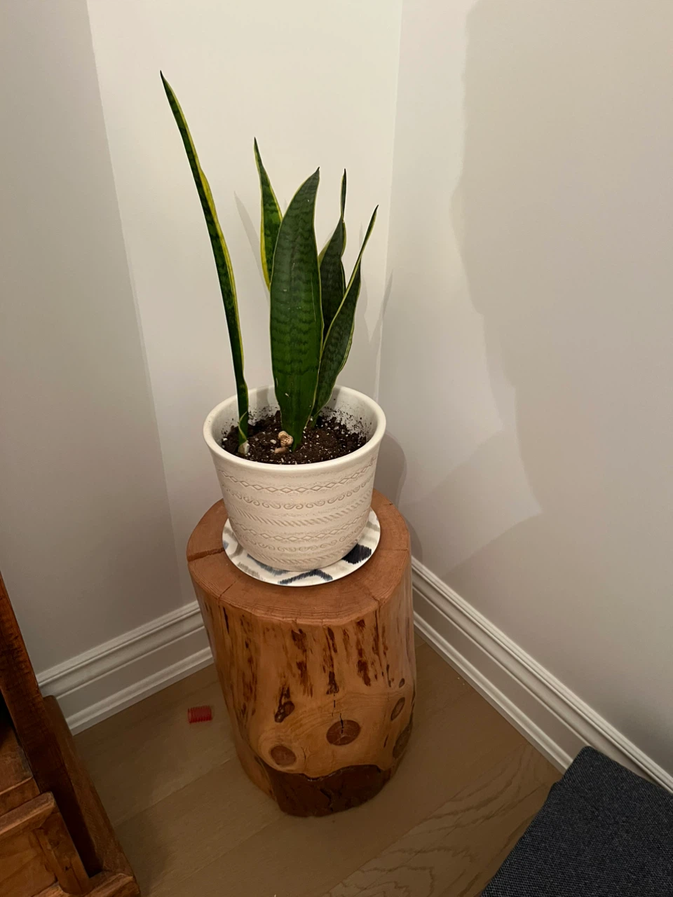 Natural Wood Log Side Table - photo 2