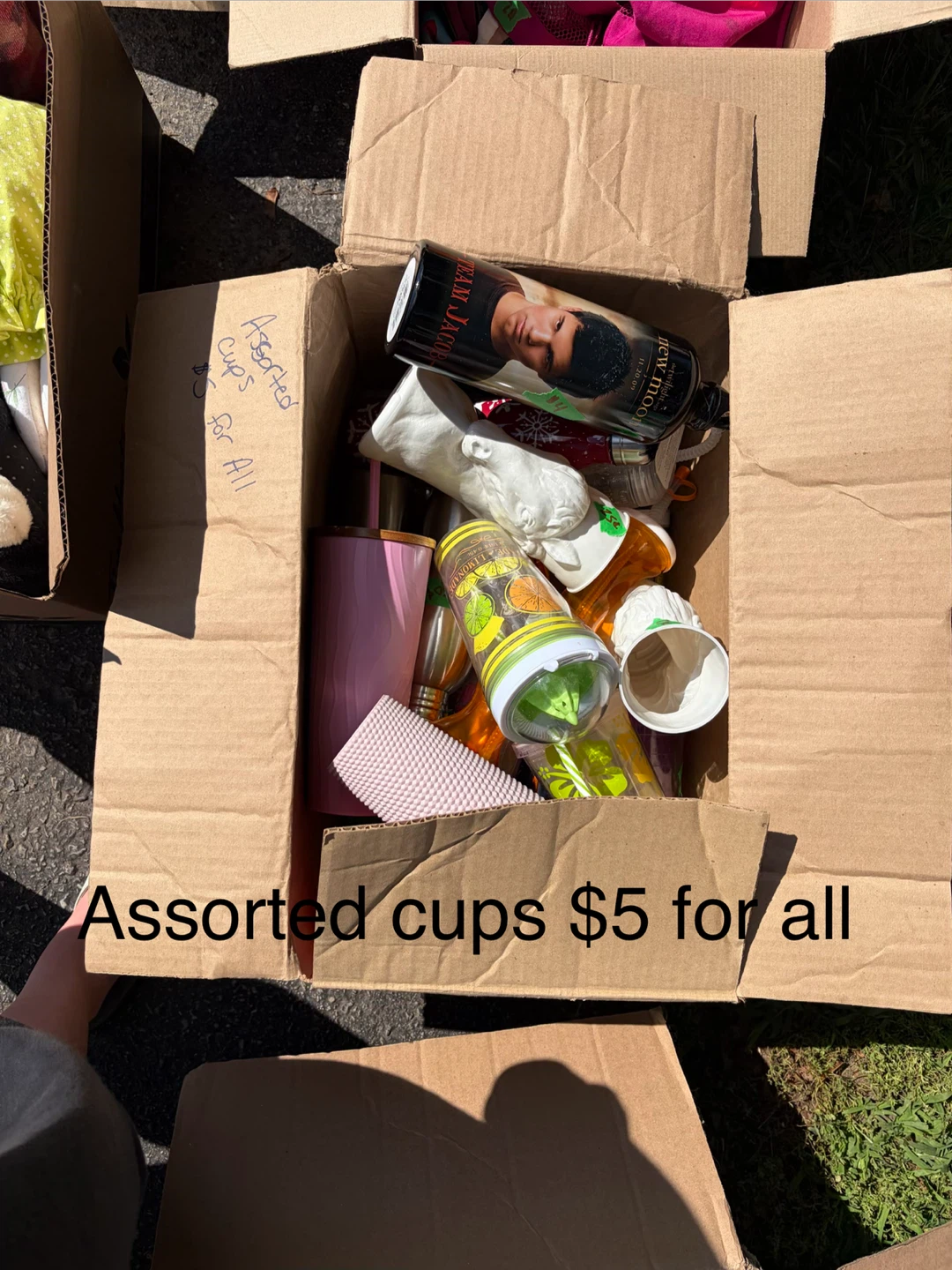 Assorted Cups Collection