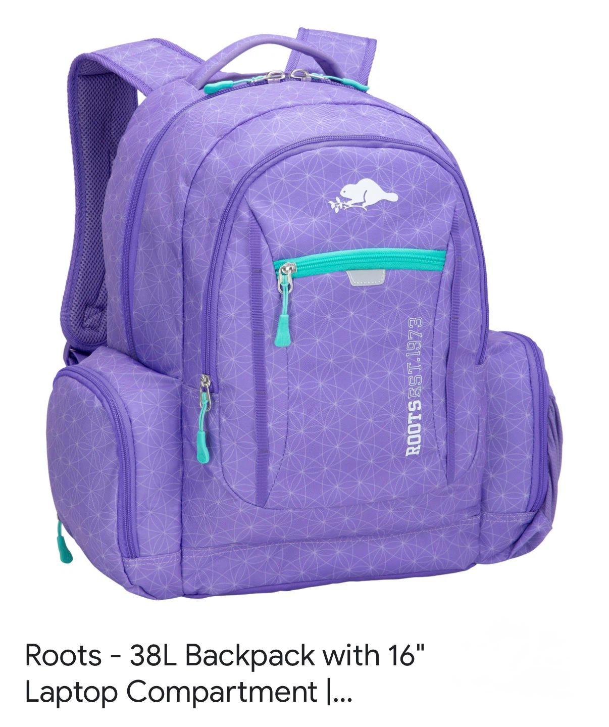 Roots 38L Laptop Backpack