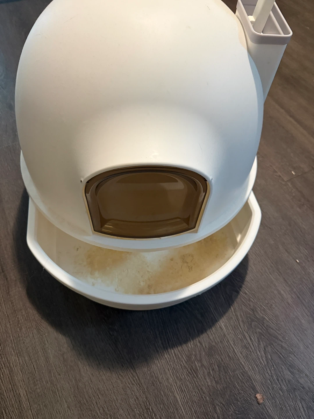 White Hooded Cat Litter Box