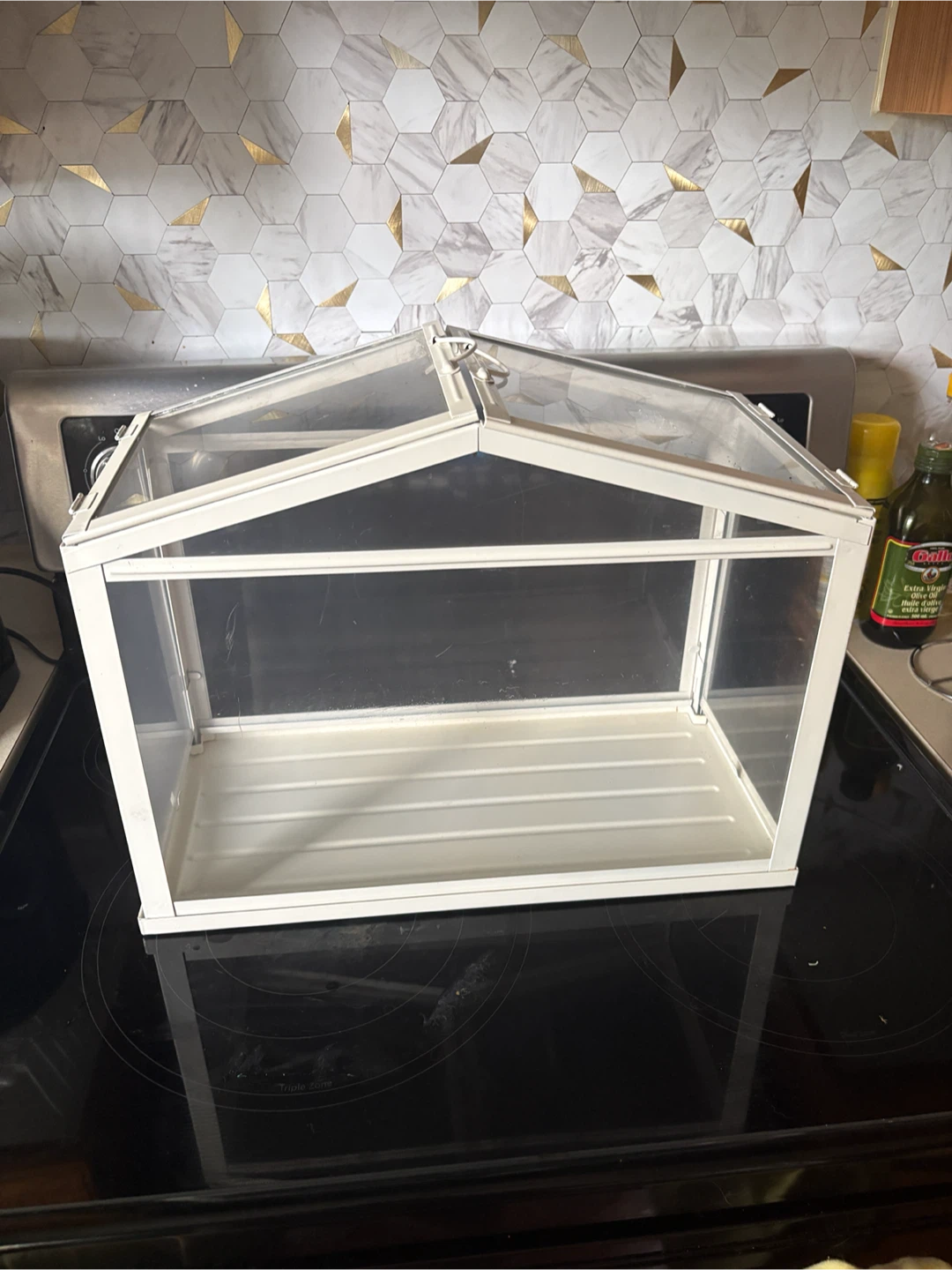 Mini Greenhouse Plant Terrarium