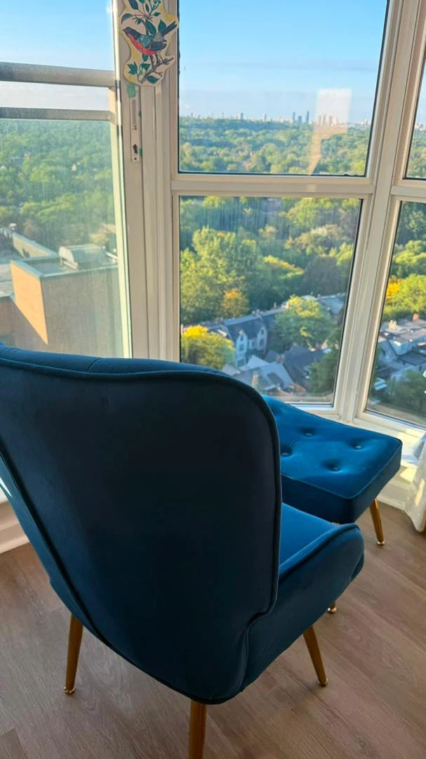 Velvet Armchair and Ottoman Set