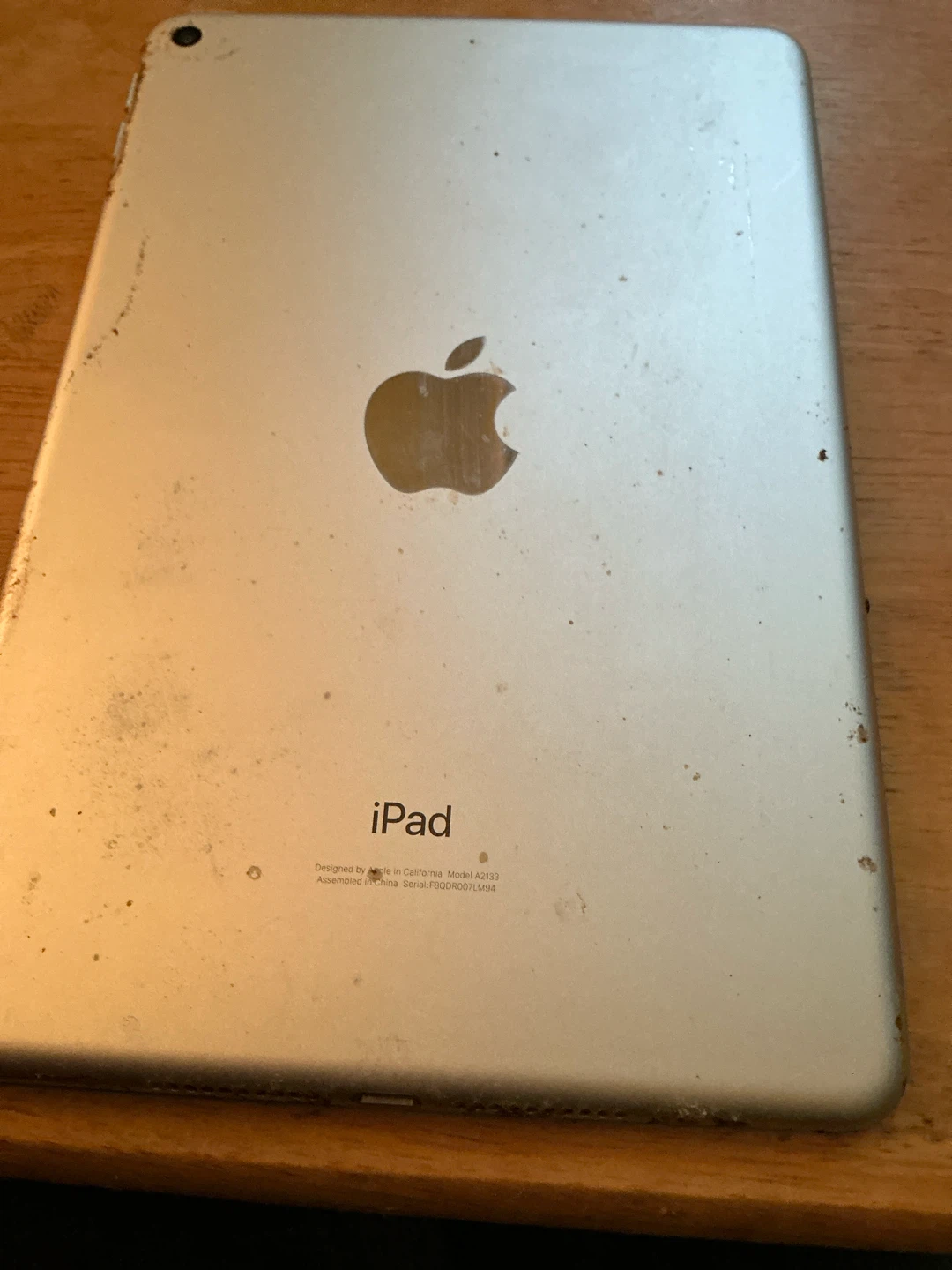 iPad  Mini 5 Generation with Floral Case