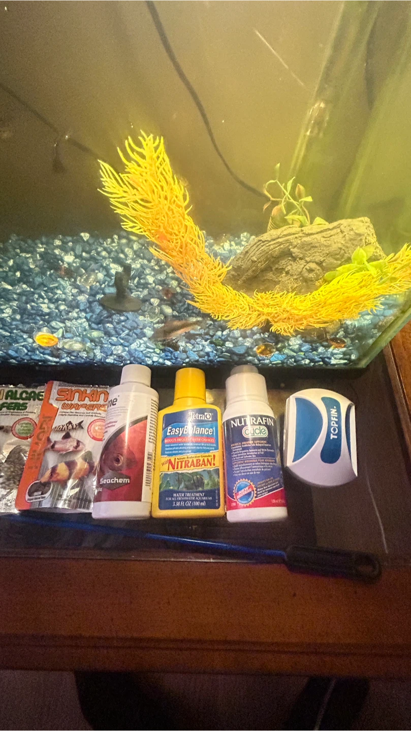 Fish Tank with Accessories - photo 2