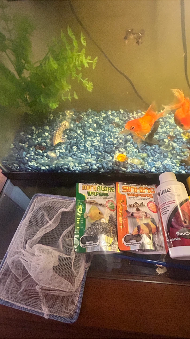 Fish Tank with Accessories - photo 3