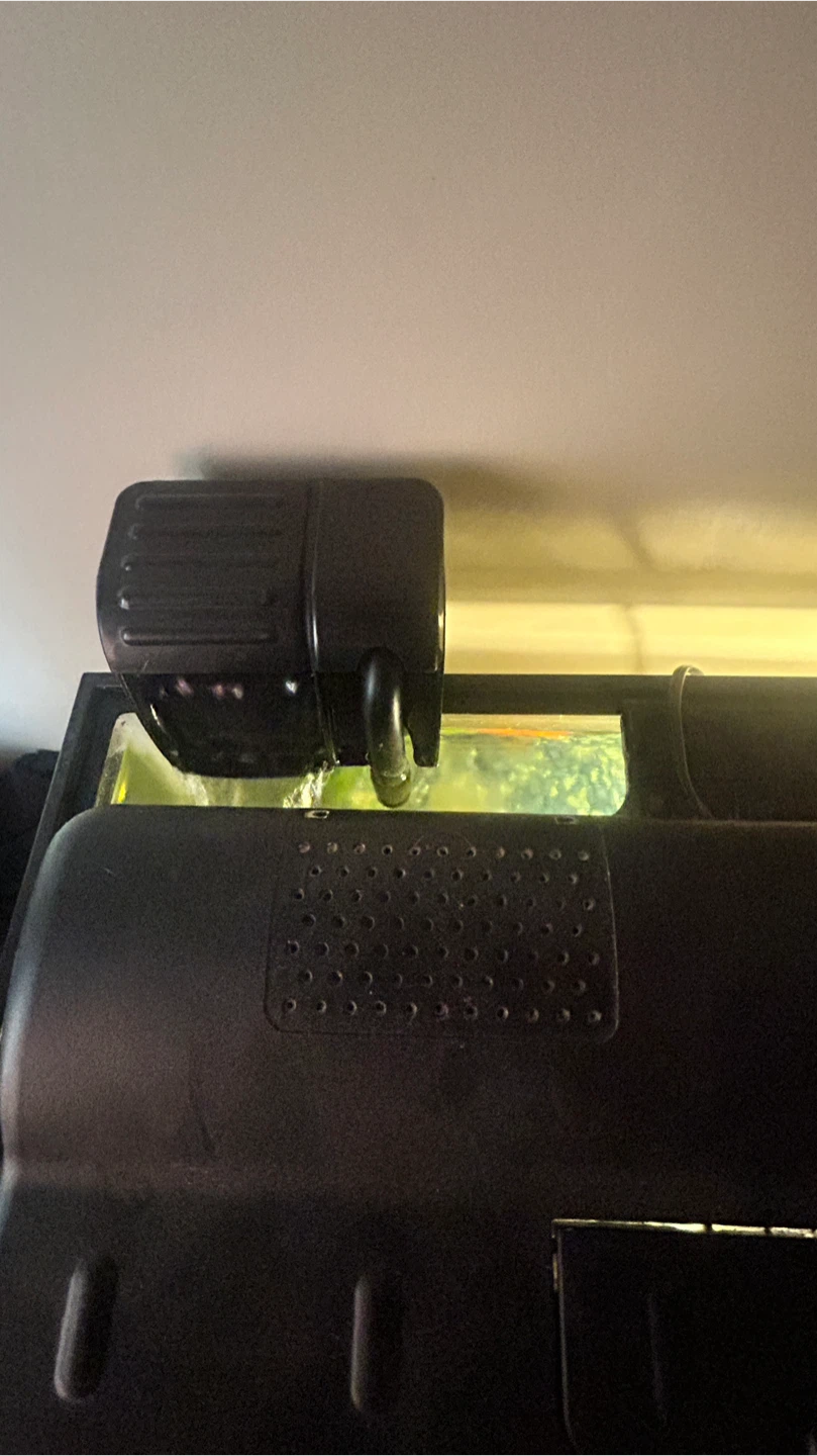 Fish Tank with Accessories - photo 4