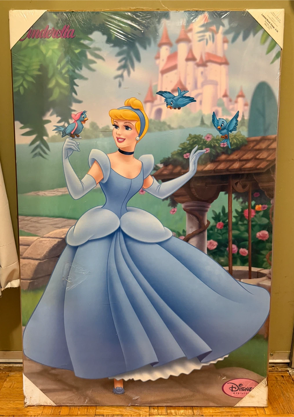 Disney Princess Cinderella Frame