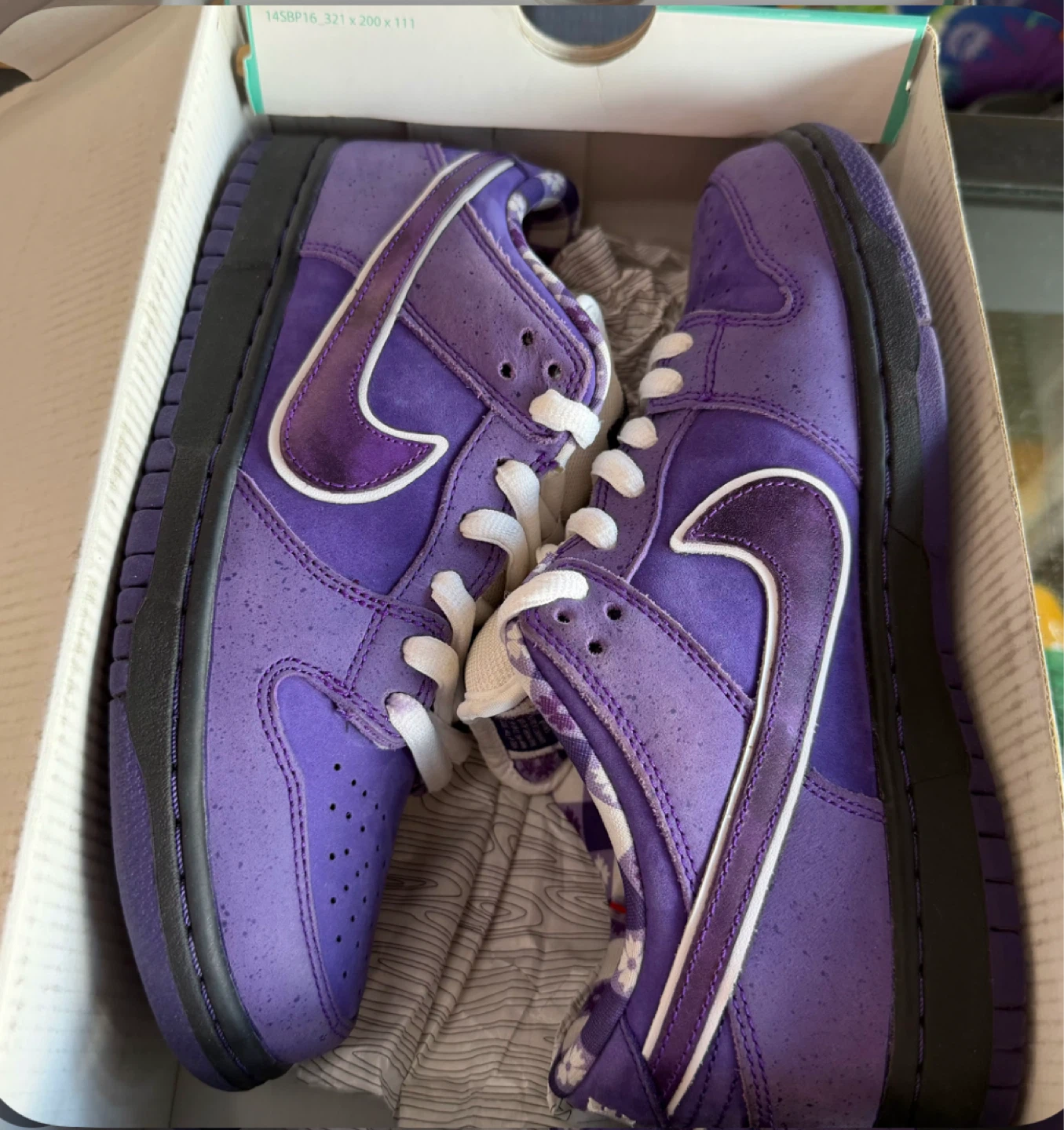 Nike Dunk Low  SB Purple lobster