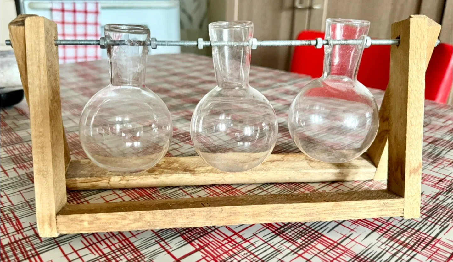 Wooden Frame 3-Vial Plant Propagation Station