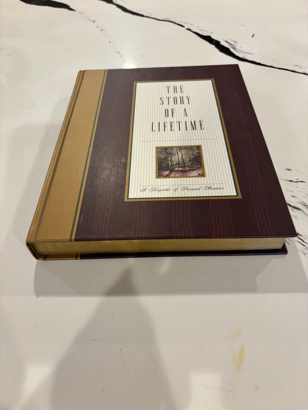 The Story of a Lifetime: A Keepsake of Personal Memoirs - photo 2
