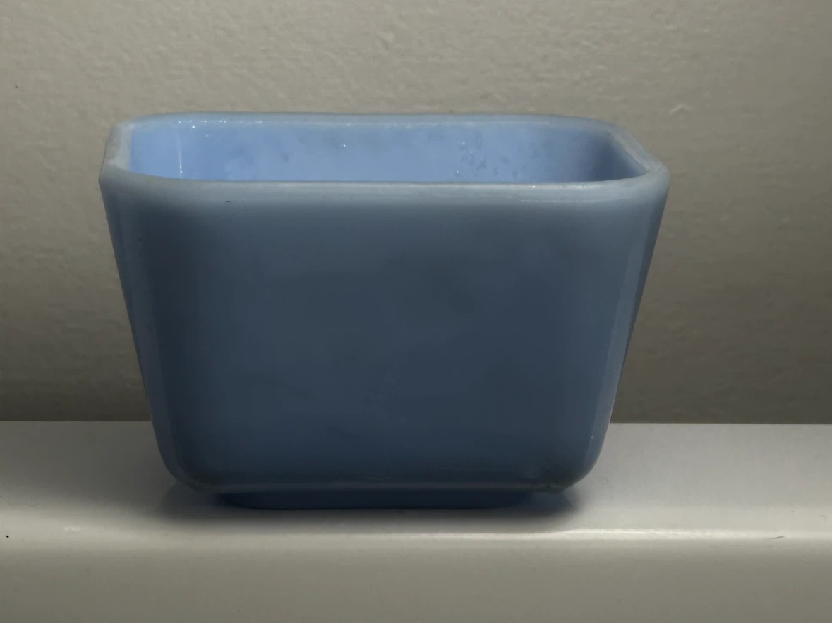 Delphite pyrex 501 Refrigerator Dish