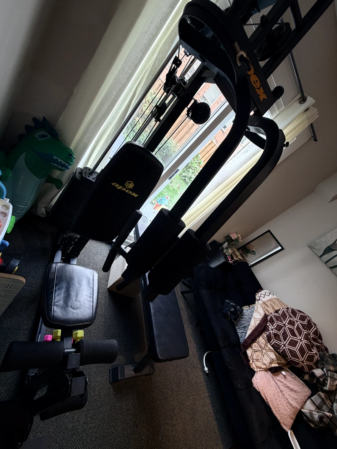 Apex Home Gym System - photo 3