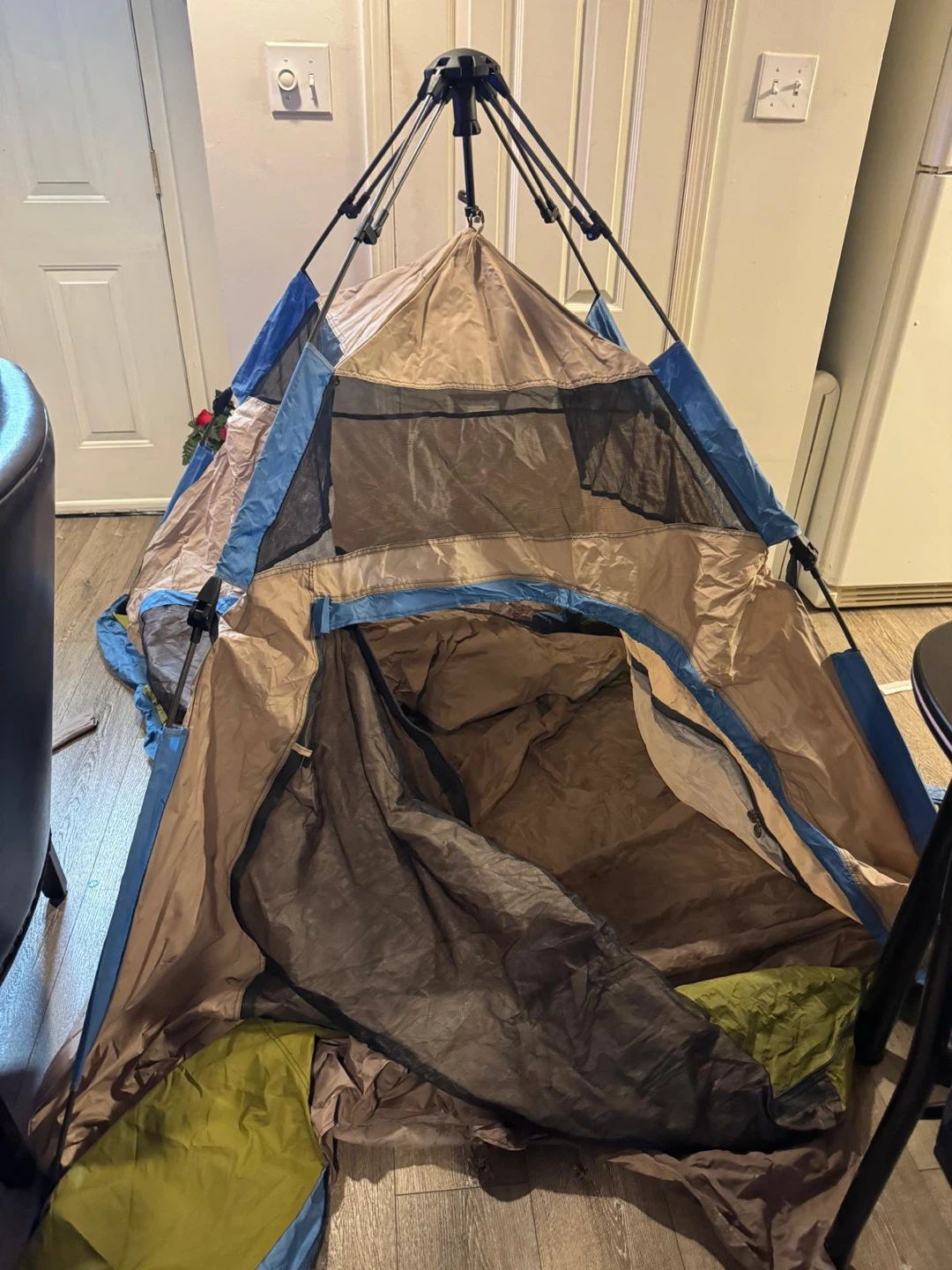 EZ-TENT Instant Dome Tent 8ft x 8ft