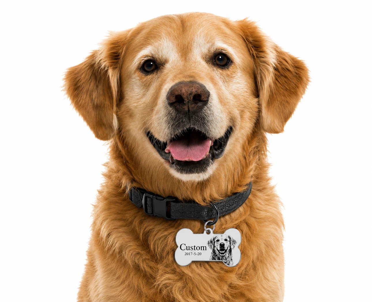 Custom Engraved Dog Bone tag and tactical colar - photo 2
