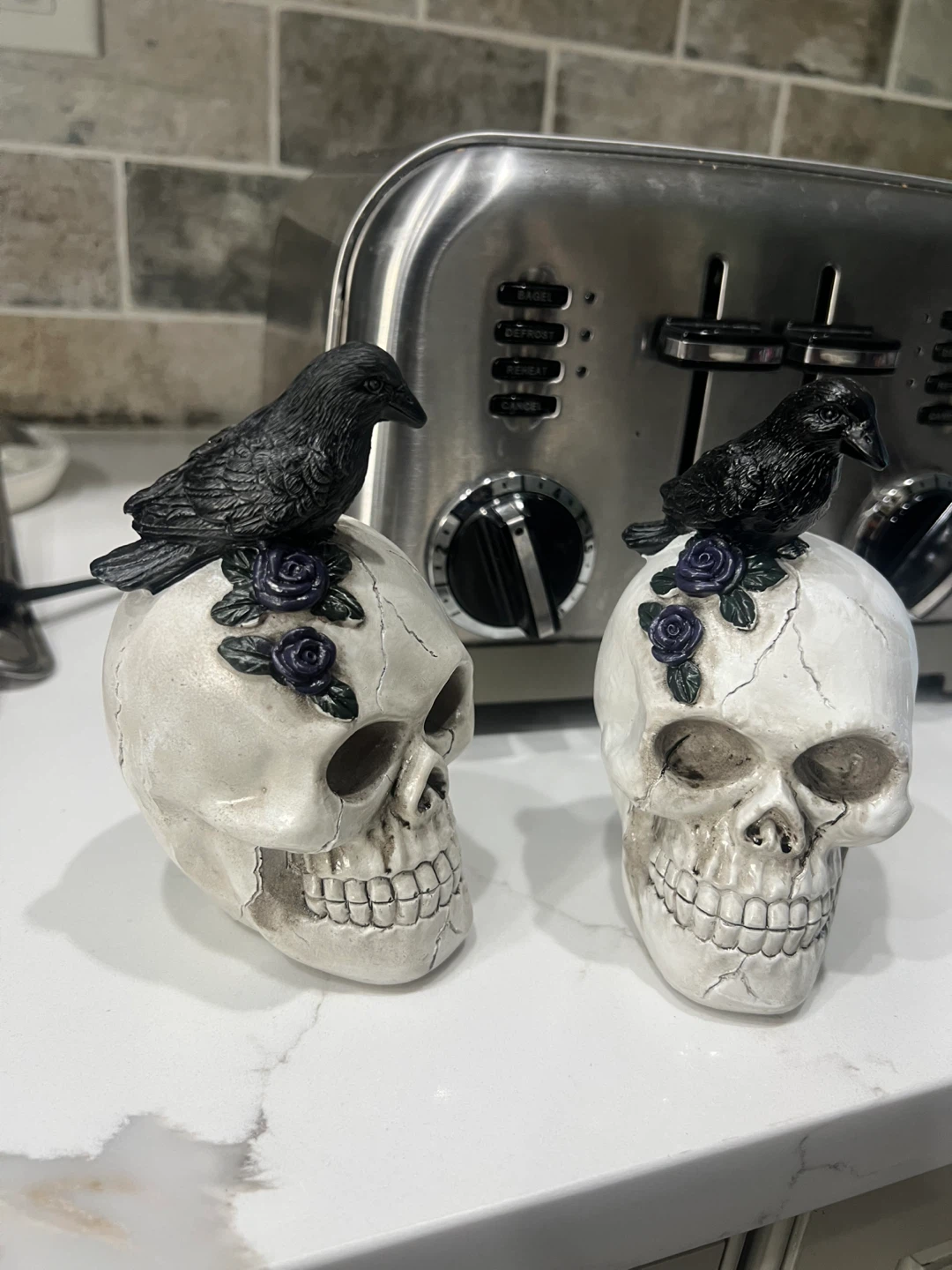 Halloween Skull and Raven Decor Set