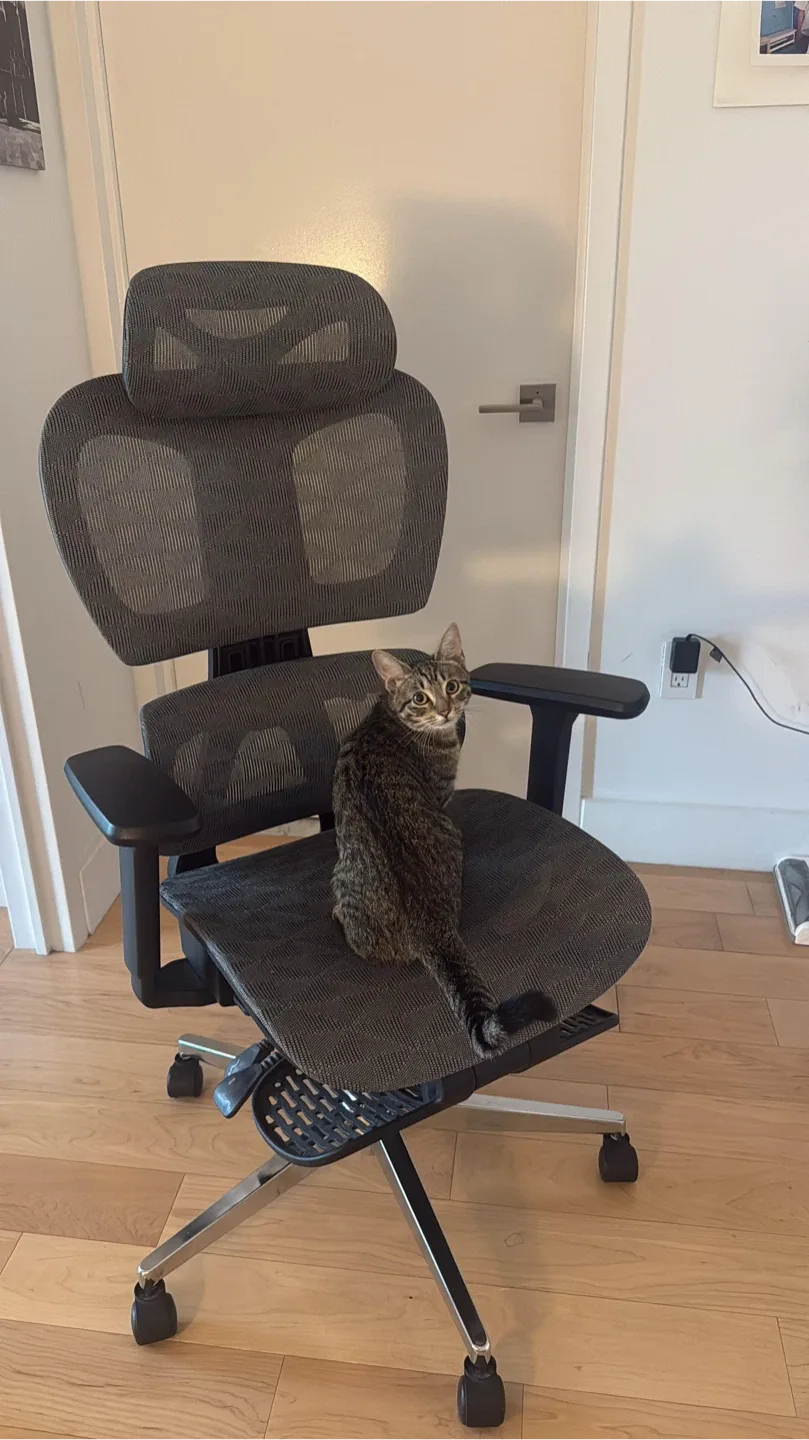 Ergonomic Mesh Office Chair