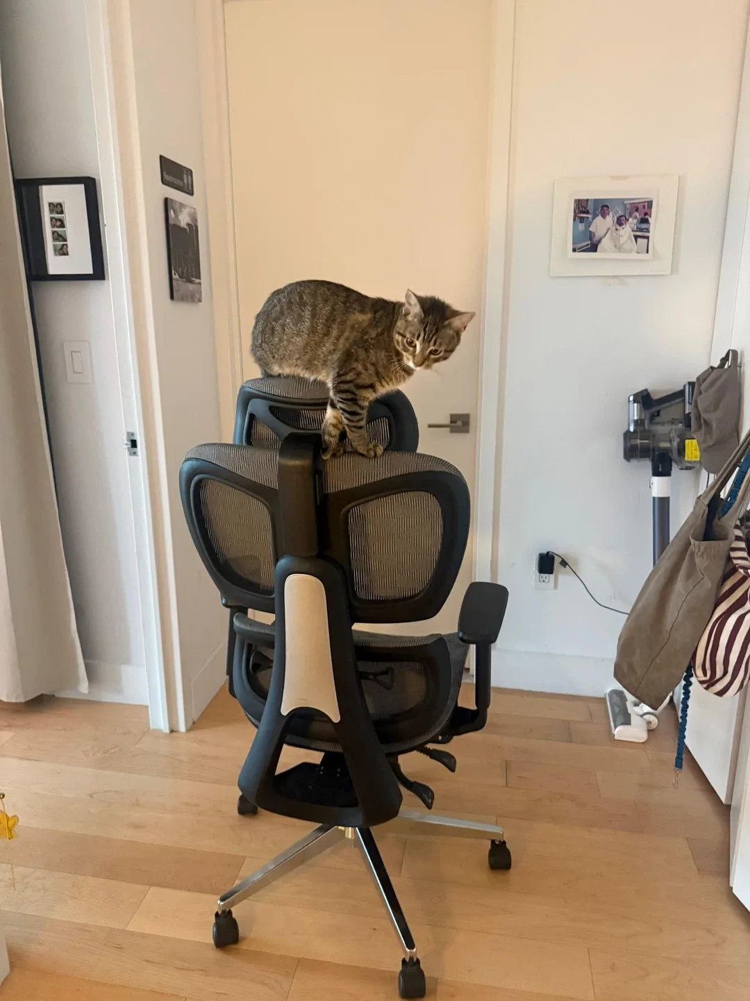 Ergonomic Mesh Office Chair - photo 4