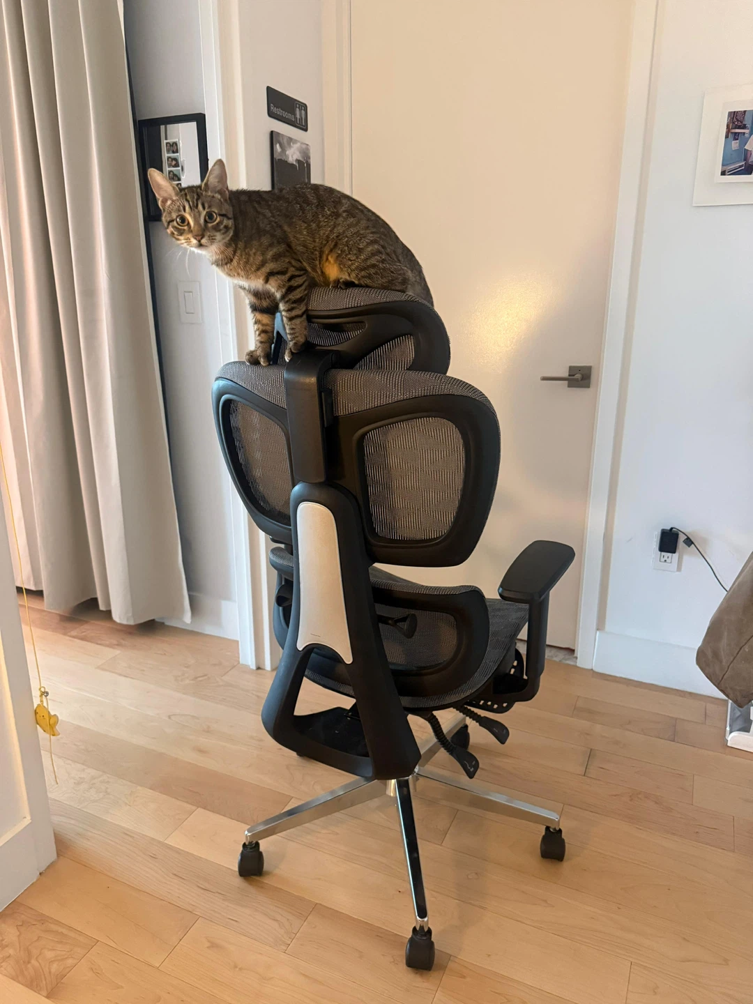 Ergonomic Mesh Office Chair - photo 5