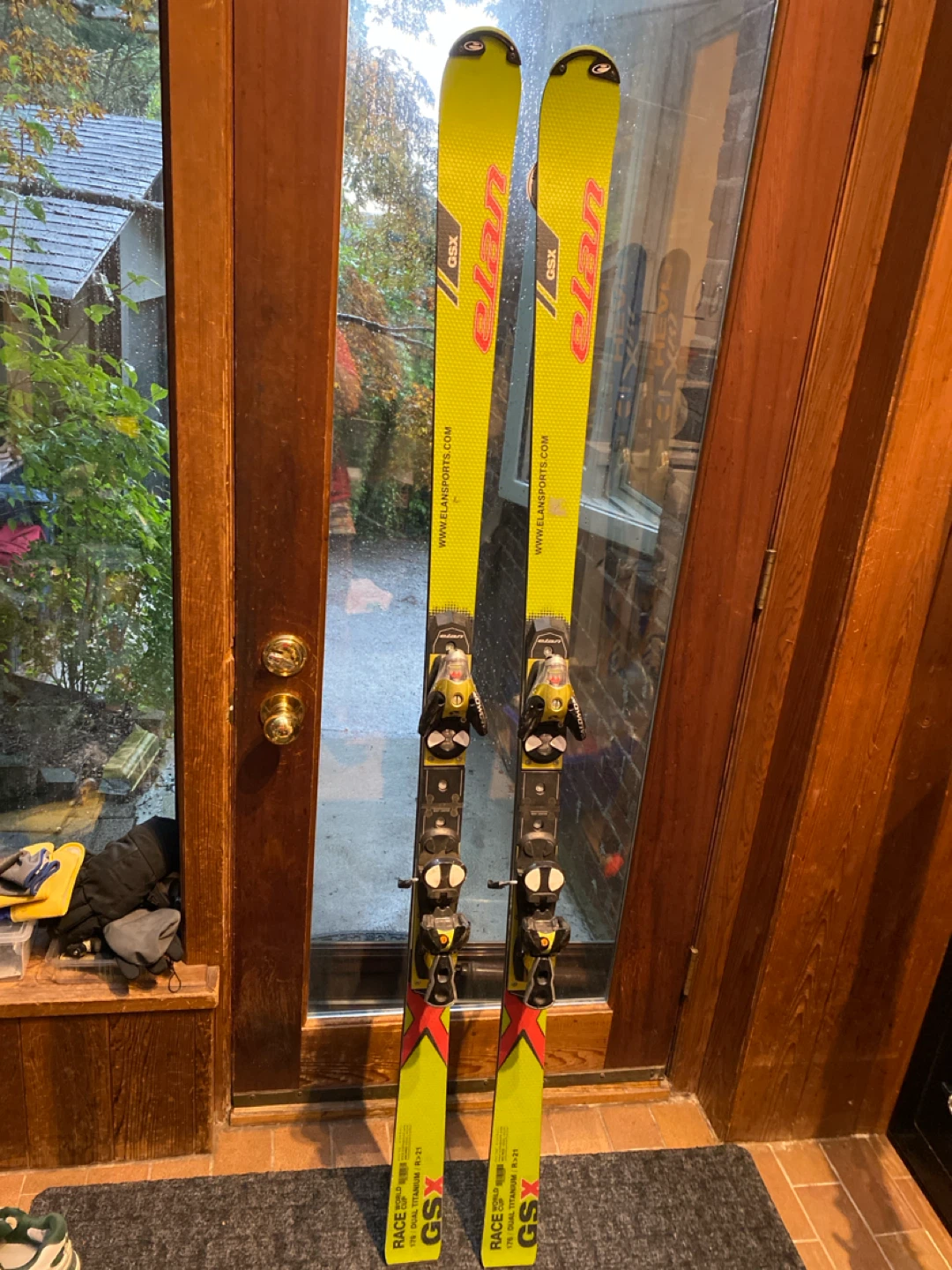 Elan GSX Race World Cup Skis - 176cm