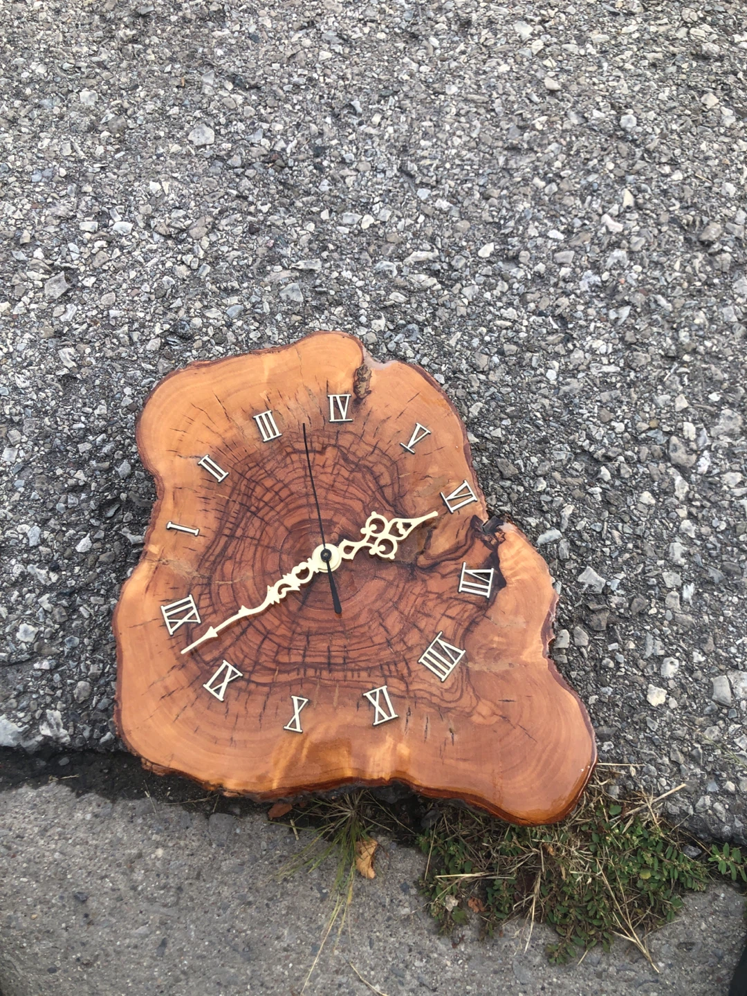 Live Edge Wood Wall Clock