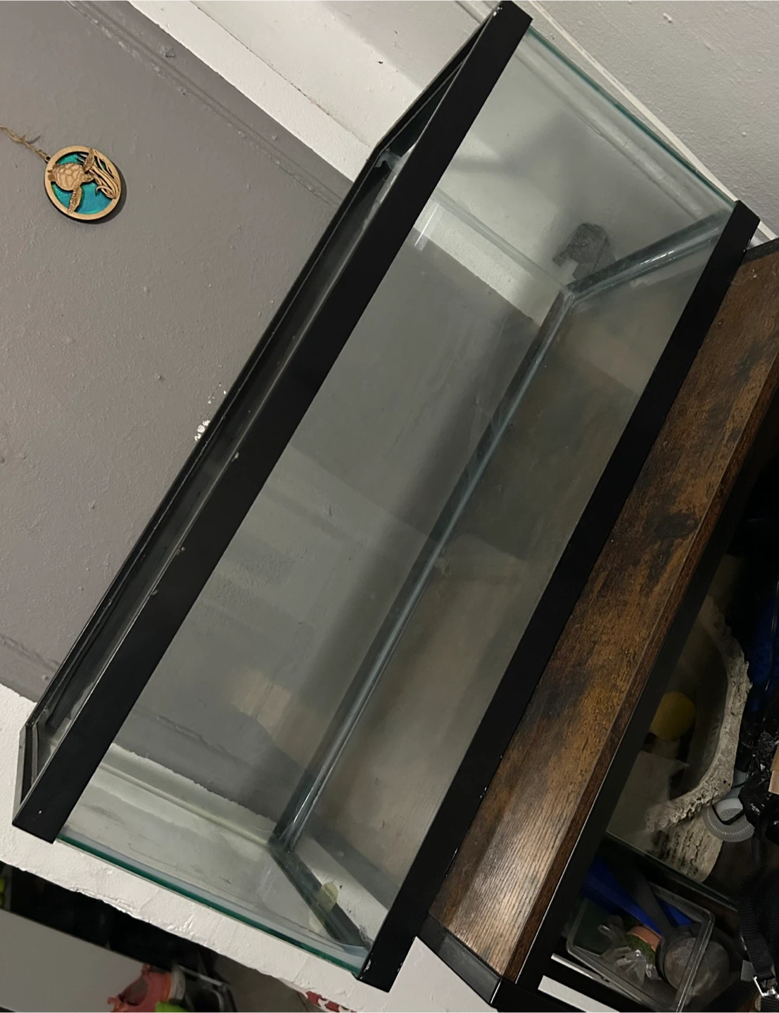 20 Gallon Tank
