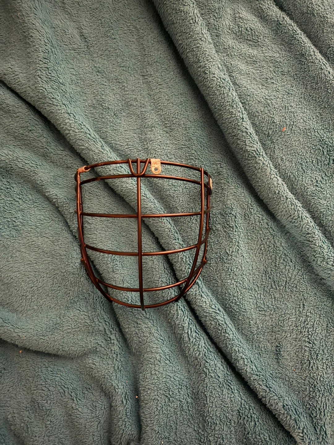 Lacrosse cage