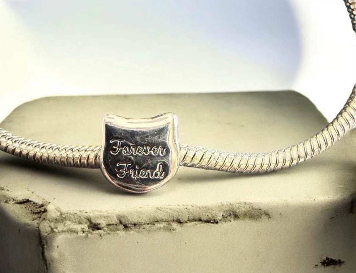 Stainless steel Charm Bracelet - Forever Friend - photo 2