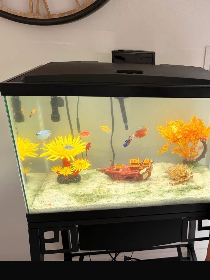 Glass Aquarium with Stand - photo 2